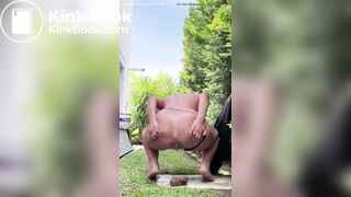 Paranoid pooper