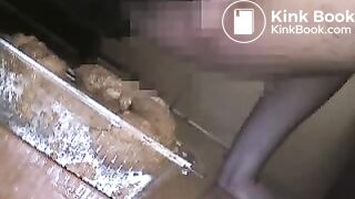 Japanese Guy Shitting (Compilation)