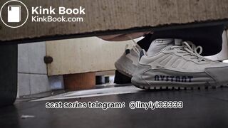 Student Series Complete Edition 15