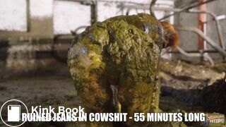 7 new videos in cowshit