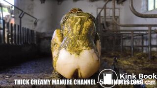7 new videos in cowshit