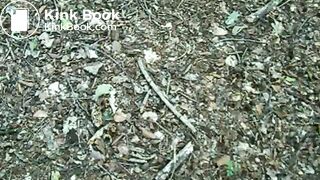Young Man Takes a Shit in the Woods While Jogging