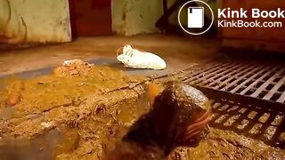 solo manure bath