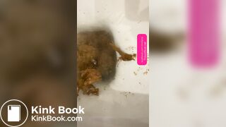 Natalia SHELLYNA Mendes - Bowel Growl Panty Pooping