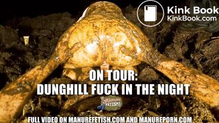 ON TOUR: Massive Dunghill at night
