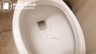 Pooping 677 - Swinging Turds