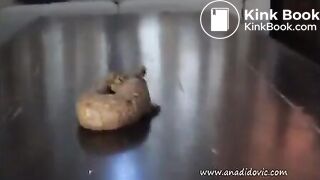 Ana dumps a huge log on table