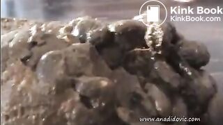 Ana dumps a huge log on table