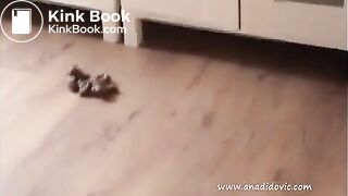 Red dress Ana shits on the floor