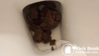 Pooping 530 - Quick Dump, Toilet Dive