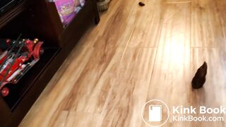 Pooping 447 - Walking the Poop then Shoving the Egg-HQ