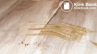 Pooping 409 - Guest Room Floor, 2 of 2