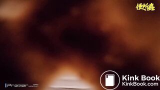Japanese Toilet Bowl Cam