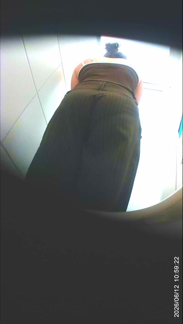 Toilet Bowl Spy 1