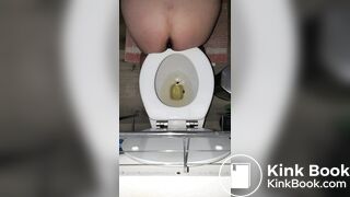 Pooping 251 - Birds Eye View