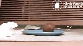 Marion shits on plates