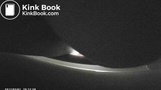 Toilet Bowl Spy 11
