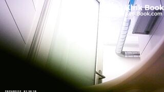 Toilet Bowl Spy 13