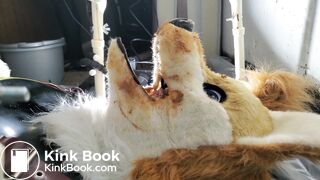 Gay Toilet Fox Fed