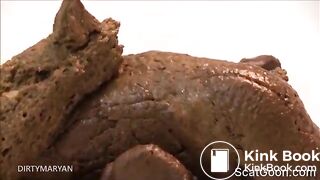 Long snake on a plate